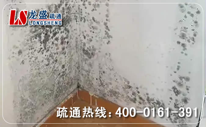 万江街道除菌除霉味